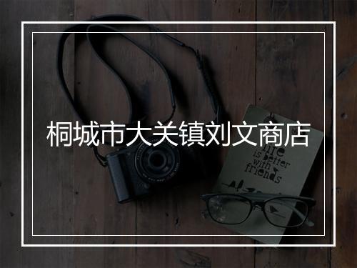 桐城市大关镇刘文商店