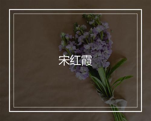 宋红霞