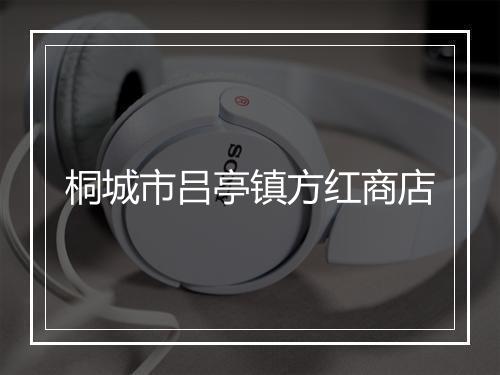 桐城市吕亭镇方红商店