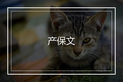产保文