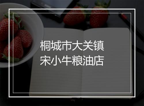 桐城市大关镇宋小牛粮油店