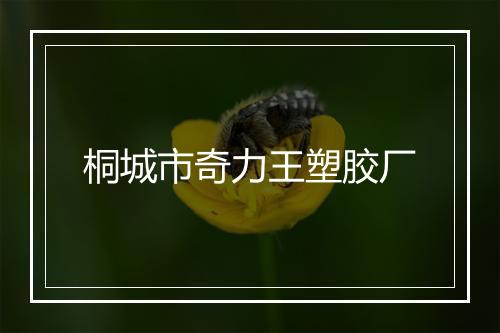 桐城市奇力王塑胶厂
