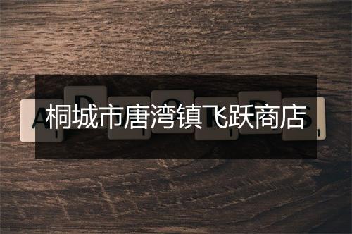 桐城市唐湾镇飞跃商店
