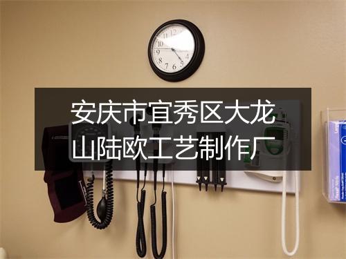 安庆市宜秀区大龙山陆欧工艺制作厂