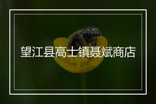 望江县高士镇聂斌商店
