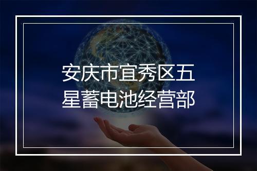 安庆市宜秀区五星蓄电池经营部
