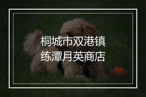 桐城市双港镇练潭月英商店