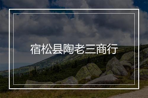 宿松县陶老三商行