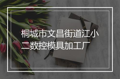 桐城市文昌街道江小二数控模具加工厂