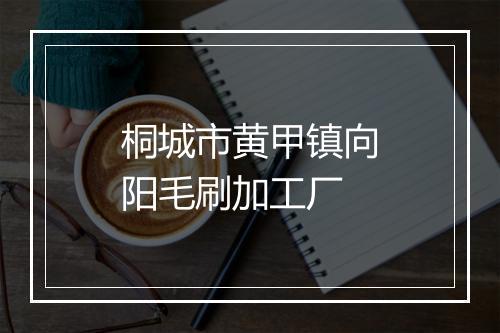 桐城市黄甲镇向阳毛刷加工厂