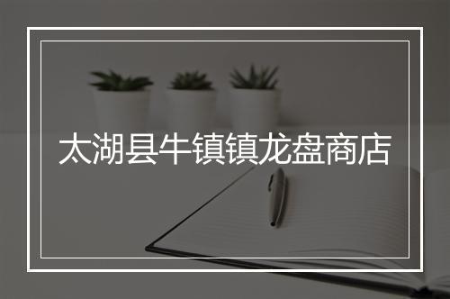 太湖县牛镇镇龙盘商店