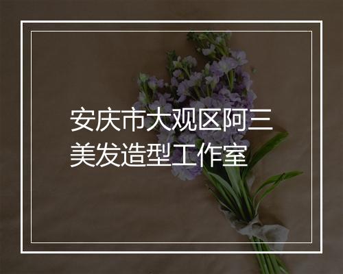 安庆市大观区阿三美发造型工作室