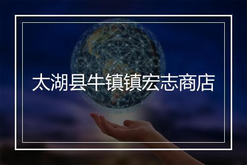 太湖县牛镇镇宏志商店