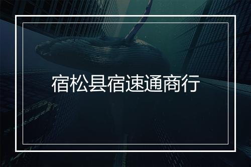 宿松县宿速通商行