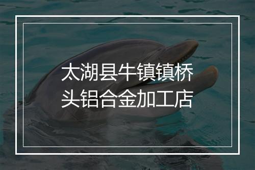 太湖县牛镇镇桥头铝合金加工店