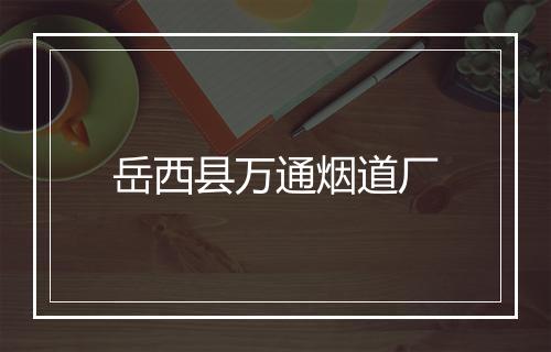 岳西县万通烟道厂