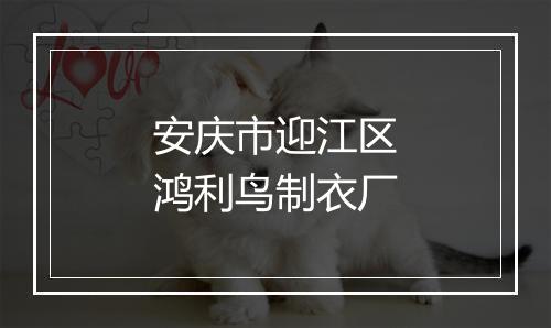 安庆市迎江区鸿利鸟制衣厂