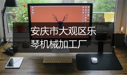 安庆市大观区乐琴机械加工厂