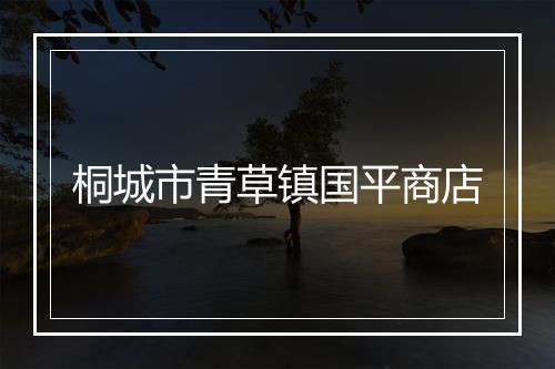 桐城市青草镇国平商店