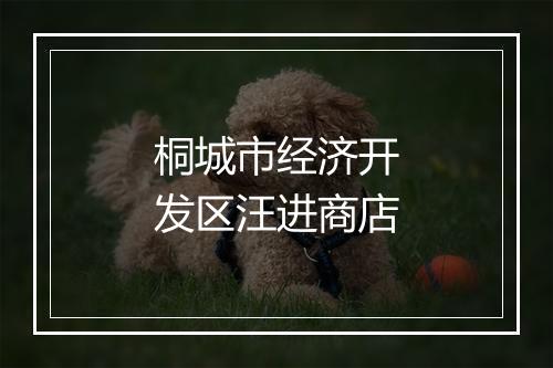 桐城市经济开发区汪进商店