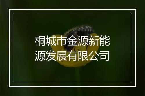桐城市金源新能源发展有限公司