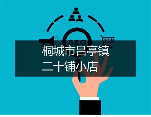 桐城市吕亭镇二十铺小店