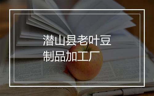 潜山县老叶豆制品加工厂