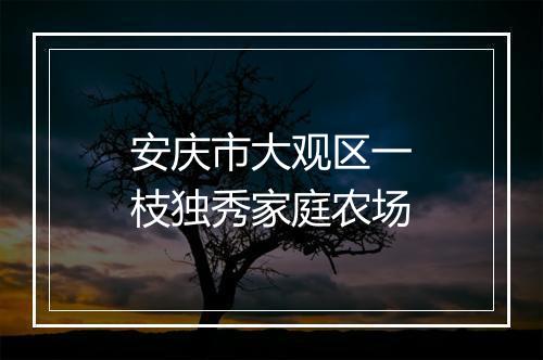 安庆市大观区一枝独秀家庭农场