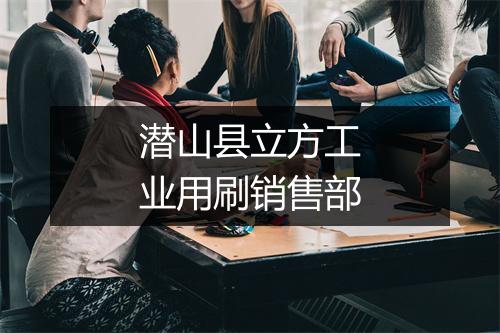 潜山县立方工业用刷销售部
