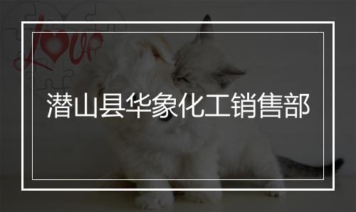 潜山县华象化工销售部