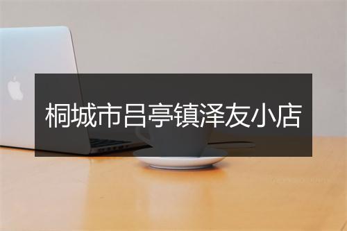 桐城市吕亭镇泽友小店