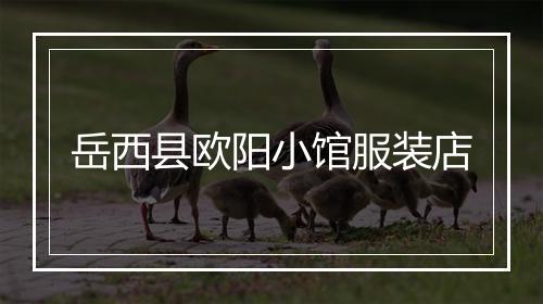 岳西县欧阳小馆服装店