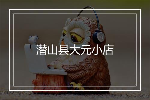 潜山县大元小店