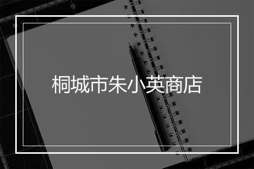 桐城市朱小英商店