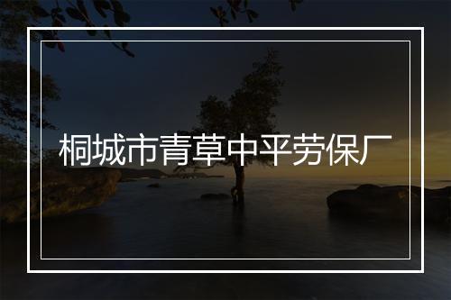 桐城市青草中平劳保厂
