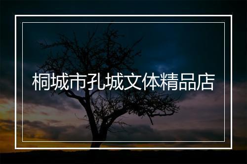 桐城市孔城文体精品店