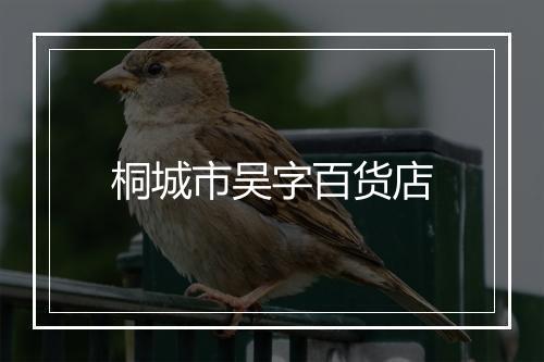 桐城市吴字百货店