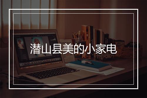 潜山县美的小家电
