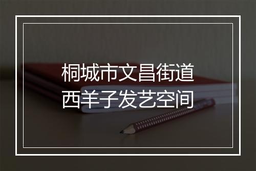 桐城市文昌街道西羊子发艺空间