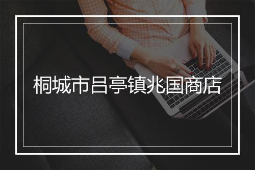 桐城市吕亭镇兆国商店