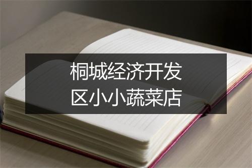 桐城经济开发区小小蔬菜店