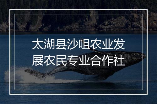 太湖县沙咀农业发展农民专业合作社