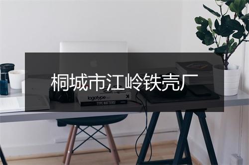 桐城市江岭铁壳厂