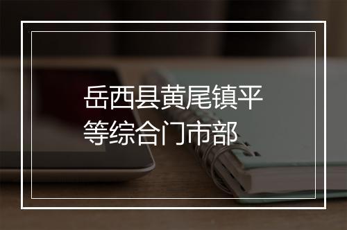 岳西县黄尾镇平等综合门市部