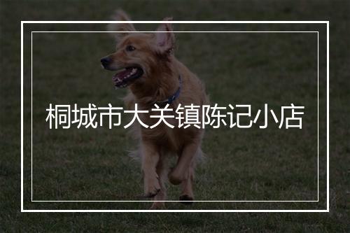 桐城市大关镇陈记小店