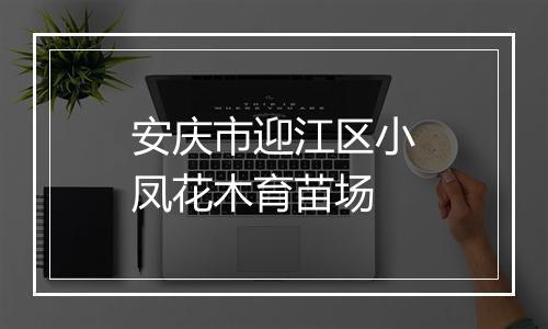 安庆市迎江区小凤花木育苗场