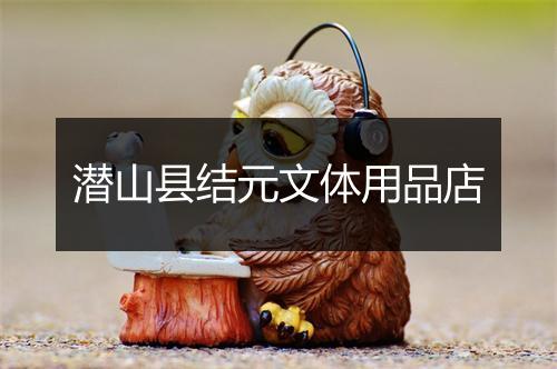 潜山县结元文体用品店