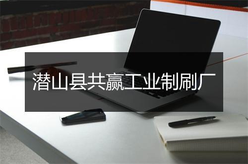 潜山县共赢工业制刷厂