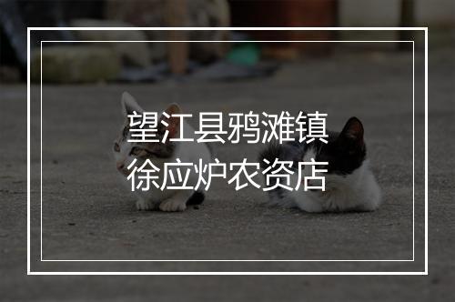 望江县鸦滩镇徐应炉农资店