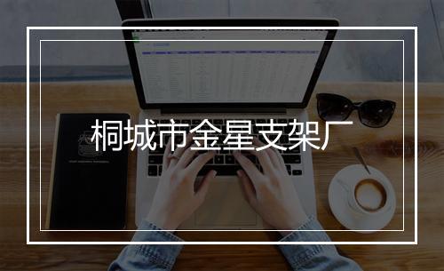 桐城市金星支架厂